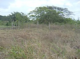Black River Hodges Subdivision, St. Elizabeth, Jamaica - Residential lot for Sale